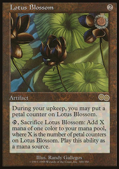 Lotus Blossom